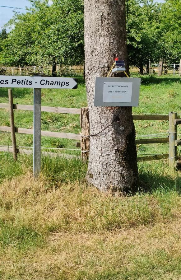 Les Petits Champs Daire Buais-les-Monts Dış mekan fotoğraf
